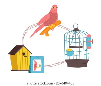 Vector flat illustration text frame with set of goods, accessories, food for poultry. Parrot is drawn on perch, birdhouse, cage, food, packaging. It can be used to design topic titles, headings, etc.