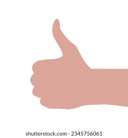 Vector flat illustration of a thumb up, showing like. Vector design element for infographic, web, internet, presentation.