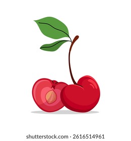 Vector flat illustration of two cherries with green leaves, one whole and one sliced in half showing pit. Hand drawn style with clean lines, perfect for food and summer designs. Vector illustration.