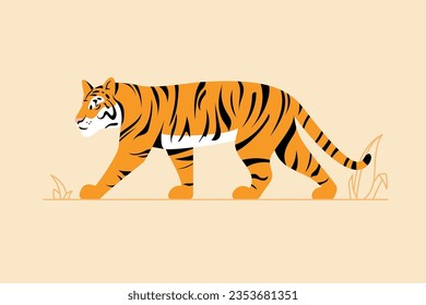 Vector flat illustration of walking tiger isolated on white background. Bengal tiger standing. Zoo wild big cat, animal. Side view. African fauna.