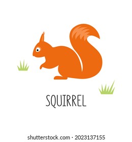 Vector flat illustration of wild forest animal, squirrel. Illustration isolated on white background.