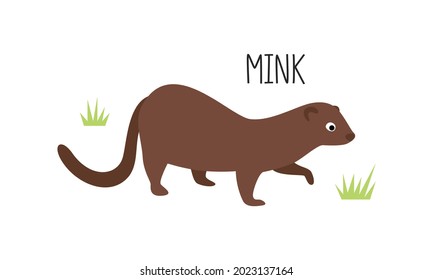 Vector flat illustration of wild forest animal, mink. Illustration isolated on white background.