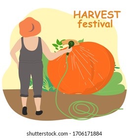 Vector flat illustration. Woman gardener in a hat is watering a huge pumpkin