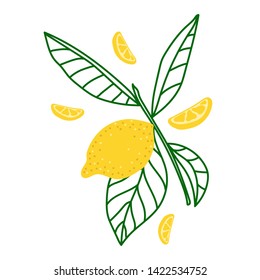 Vector flat illustration with yellow lemons. Hand drawn lemon on white background. Summer design for print, textile, postcard 