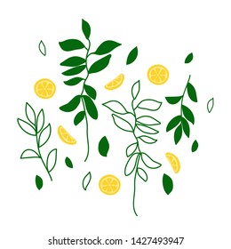 Vector flat illustration with yellow lemons. Hand drawn lemon on white background. Summer design for print, textile, postcard
