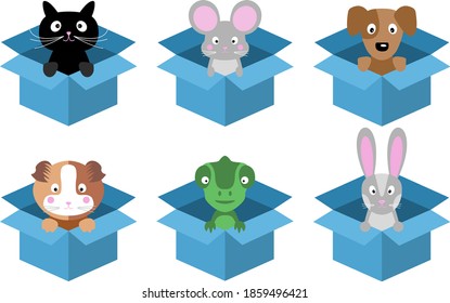 Vector flat image, animals pets in blue cardboard box