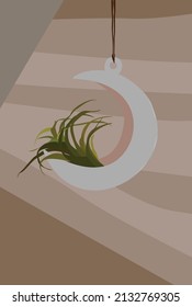 Vector flat image of a green plant in an unusual pot. Crescent shaped flower pot. Design for postcards, posters, backgrounds, avatars, textiles, templates, t-shirts.