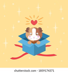 Vector flat image, guinea pig in blue gift cardboard box