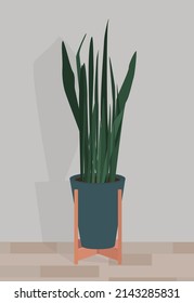 Vector flat image of a home plant in a blue pot and on a wooden stand. Tall green home plant. Design for postcards, posters, backgrounds, templates, textiles.