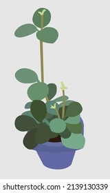 Vector Flat Image Of A House Plant In A Blue Pot. Green Tall Plant. Design For Postcards, Posters, Backgrounds, Templates, Textiles, Banners.