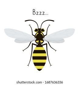 Vector flat image of an isolated wasp.
