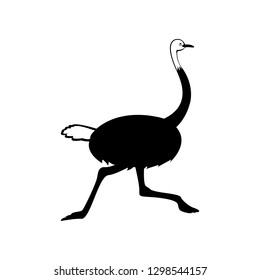 Vector, flat image of an ostrich running on an isolated white background