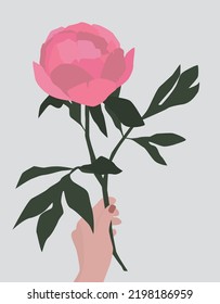 Vector flat image of a peony in a female hand. Hand with a gentle manicure. Pink blooming peony. Design for postcards, posters, backgrounds, templates, textiles, banners.