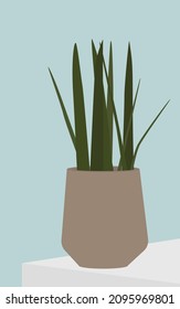Vector flat image of a plant on the table. The pot is gray with a home plant with long thin leaves. Design for t-shirts, templates, cards, textiles, backgrounds