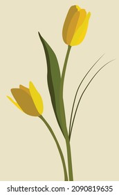 Vector flat image of two yellow tulips with green leaves. Illustration on a light background. Design for cards, textiles, templates, posters, backgrounds, t-shirts.