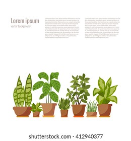  Vector flat indoor plant pot illustration.  Colorful indoor plants in pot for your design. 