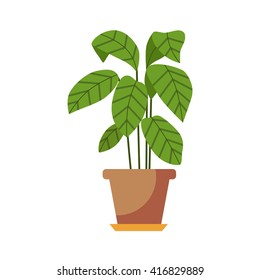 Vector flat Indoor plant pot illustration. Colorful Indoor plant in pot for your design.