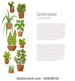  Vector flat indoor plant pot illustration. 