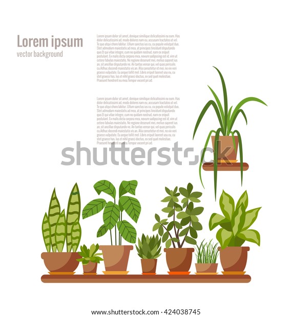 Vector Flat Indoor Plant Pot Illustration Stock Vector (Royalty Free