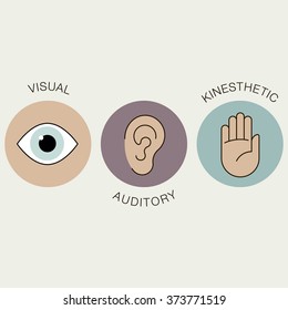 Vector flat infographic elements for education styles, learning modalities, visual auditory kinesthetic