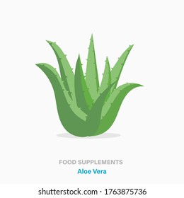 Icono aislado de vectores de suplementos alimenticios - planta de Aloe Vera