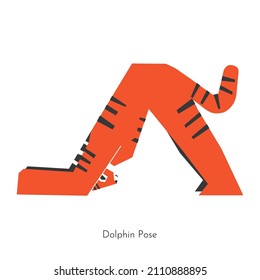 Vector flat isolated illustration with animal character doing yoga. Asian tiger learns relaxing core exercise - Dolphin Pose. Basic sports balance posture for beginners