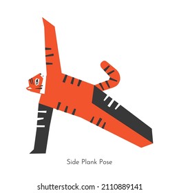 Vector flat isolated illustration with animal character doing yoga. Korean tiger learns arm balancing pose - Side Plank Pose. Basic sports exercise for beginners