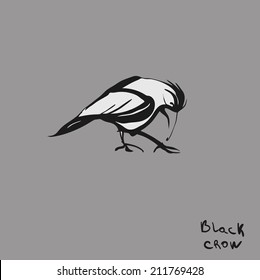 Vector flat isolated illustration of hand drawing with lined, scribble symbol of crow, corvus or raven. Dark traditional cutout, detailed stroke, ink. Black and white feather. Animal and wildlife.