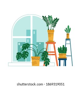 Vector flat isolated illustration with set of indoor plants in home interior, on background of window. Concept caring for plants, flowers, and breeding them.