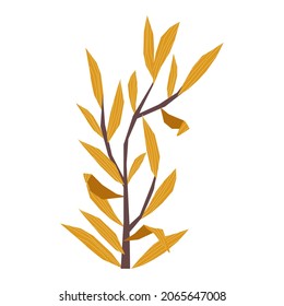 Vector flat isolated image with dry branch of weeping willow tree with yellow leaves. Concept autumn season, nature, flora, botanical illustration. You can use the element in web design, banners, etc.
