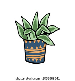 Vector flat, isolated, linear illustration with a plant in pot. The concept of comfort, plants. It can be used as separate element in design, typography, etc.