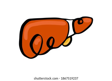 Vector flat, isolated, simplified illustration with concept Hepatology, infectious diseases of liver. Liver organ is shown on white background.