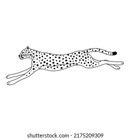 Vector Flat Jumping Outline Cheetah Isolated On White Background