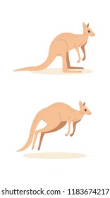 The vector flat kangaroo is standing and jumping. Cute australian animals