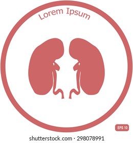 Vector flat kidney icon