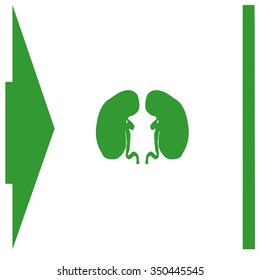 Vector flat kidney icon.