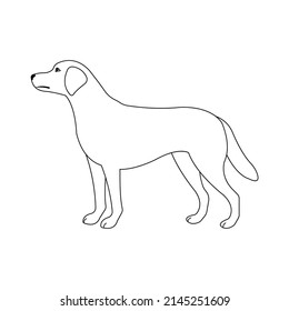 Vector flat labrador dog isolated on white background