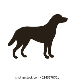 Vector flat labrador dog silhouette isolated on white background