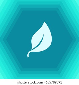 Vector flat leaf icon on hexagonal background