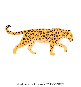 Vector flat leopard isolated on white background