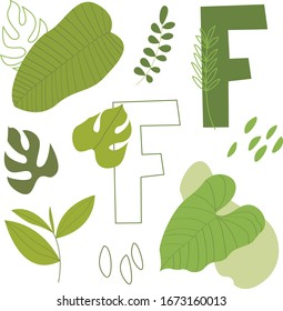 Vector flat letter F. Abstract set with green letter and tropical leaves, isolated on white. Perfect for ecology design, logo, icon, poster, sticker, print, card