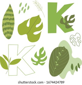 Vector flat letter K. Abstract set with green letter and tropical leaves, isolated on white. Perfect for ecology design, logo, icon, poster, sticker, print, card