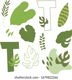 Vector flat letter T. Abstract set with green letter and tropical leaves, isolated on white. Perfect for ecology design, logo, icon, poster, sticker, print, card