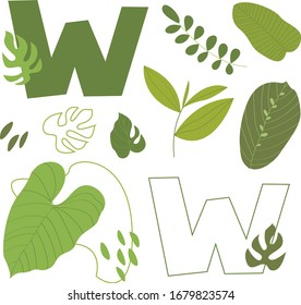 Vector flat letter W. Abstract set with green letter and tropical leaves, isolated on white. Perfect for ecology design, logo, icon, poster, sticker, print, card