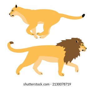 Vector flat lion and lioness isolated on white background