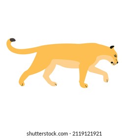 Vector flat lioness isolated on white background