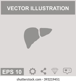 Vector flat liver icon