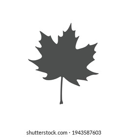 Vector flat maple leaf icon isolated on white. Eps10