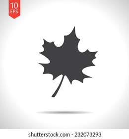 Vector flat  maple  leaf icon isolated on white. Eps10