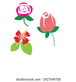 vector flat or minimalist rose and hibiscus flower clipart or logo or icon